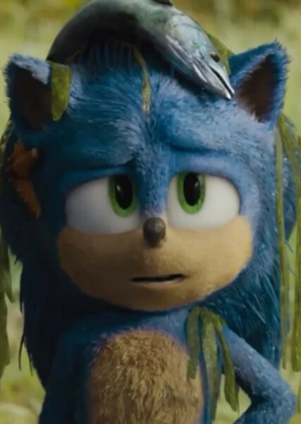 Sonic the Hedgehog (SCU) photo