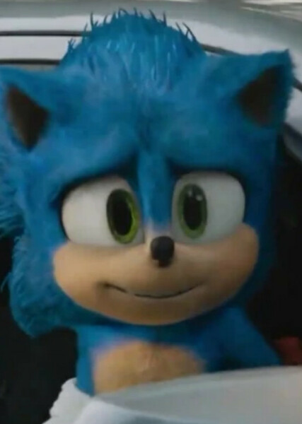 Sonic the Hedgehog (SCU) photo