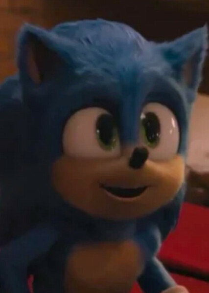 Sonic the Hedgehog (SCU) photo