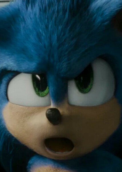 Sonic the Hedgehog (SCU) photo