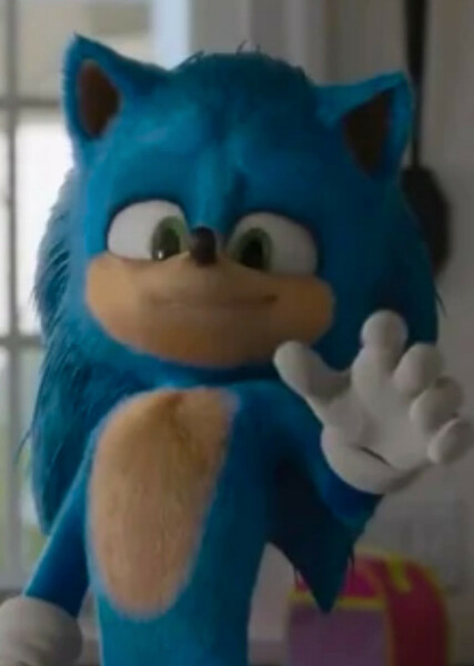 Sonic the Hedgehog (SCU) photo