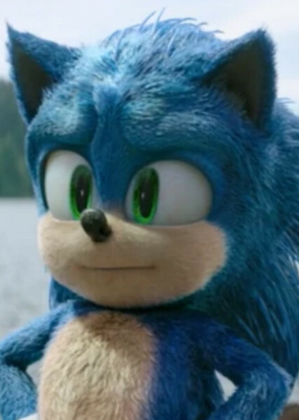 Sonic the Hedgehog (SCU) photo