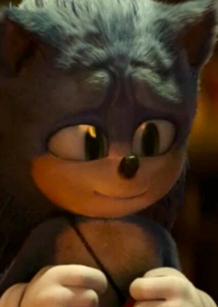Sonic the Hedgehog (SCU) photo