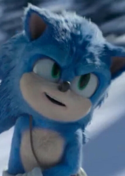 Sonic the Hedgehog (SCU) photo