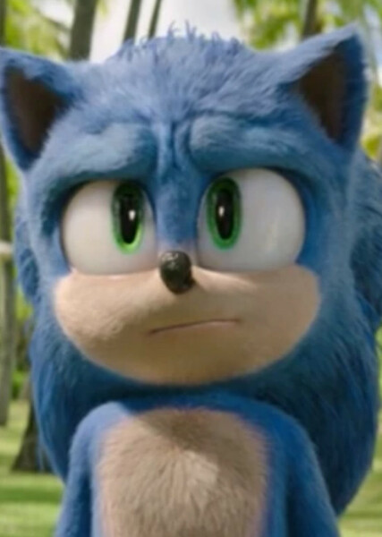 Sonic the Hedgehog (SCU) photo