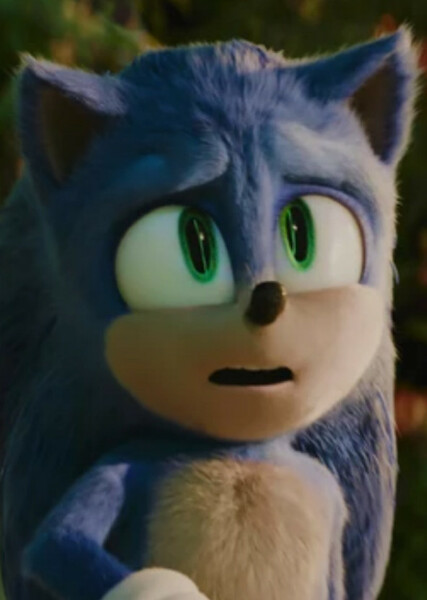 Sonic the Hedgehog (SCU) photo