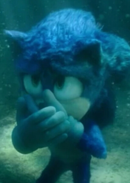 Sonic the Hedgehog (SCU) photo
