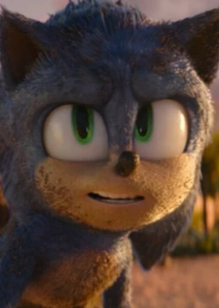 Sonic the Hedgehog (SCU) photo