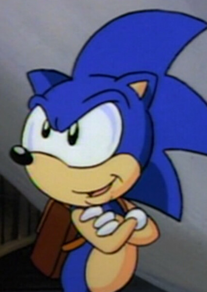 Sonic the Hedgehog (SatAM) photo