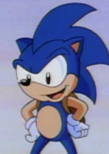 Sonic the Hedgehog (SatAM) photo