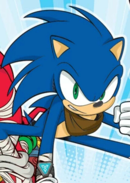 Sonic the Hedgehog (Sonic Boom) photo