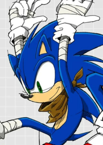 Sonic the Hedgehog (Sonic Boom) photo
