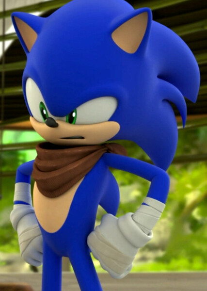 Sonic the Hedgehog (Sonic Boom) photo
