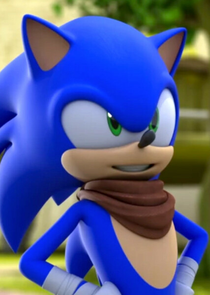 Sonic the Hedgehog (Sonic Boom) photo