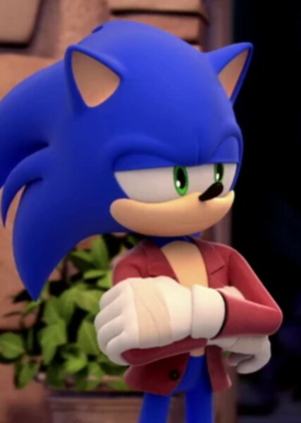 Sonic the Hedgehog (Sonic Boom) photo