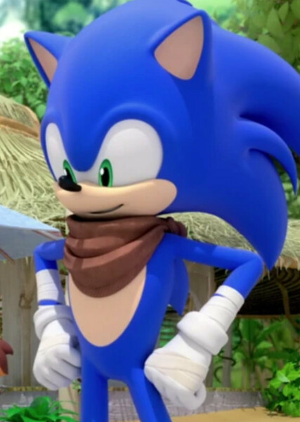 Sonic the Hedgehog (Sonic Boom) photo