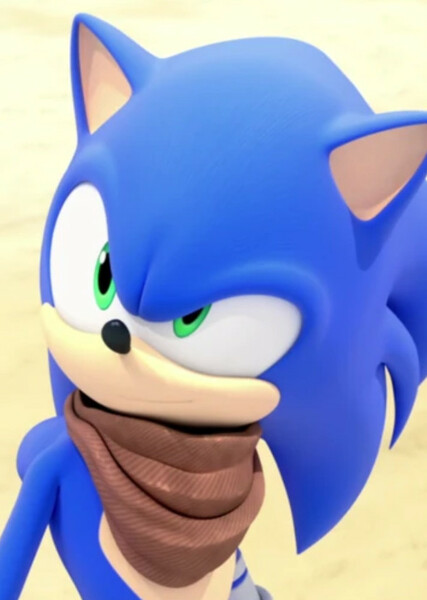 Sonic the Hedgehog (Sonic Boom) photo