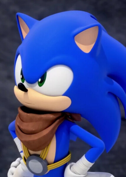 Sonic the Hedgehog (Sonic Boom) photo