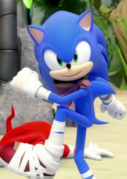 Sonic the Hedgehog (Sonic Boom) photo
