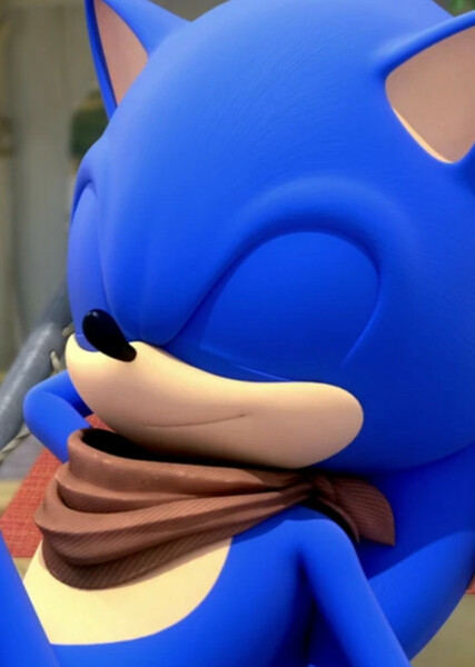Sonic the Hedgehog (Sonic Boom) photo