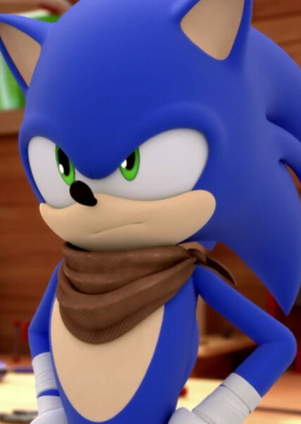 Sonic the Hedgehog (Sonic Boom) photo