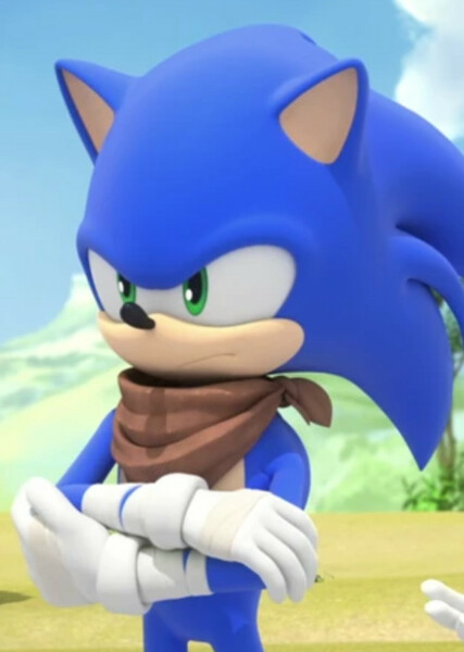 Sonic the Hedgehog (Sonic Boom) photo