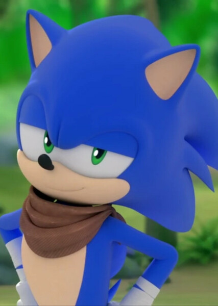 Sonic the Hedgehog (Sonic Boom) photo