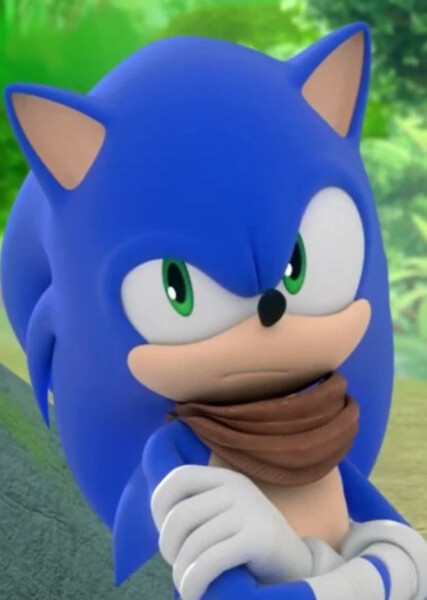 Sonic the Hedgehog (Sonic Boom) photo