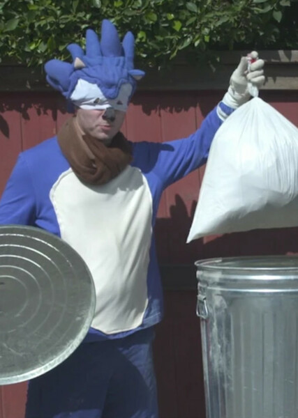 Sonic the Hedgehog (Sonic Boom) photo