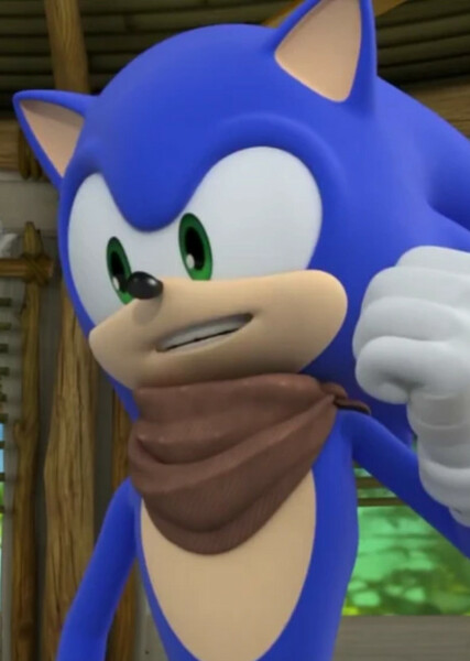 Sonic the Hedgehog (Sonic Boom) photo