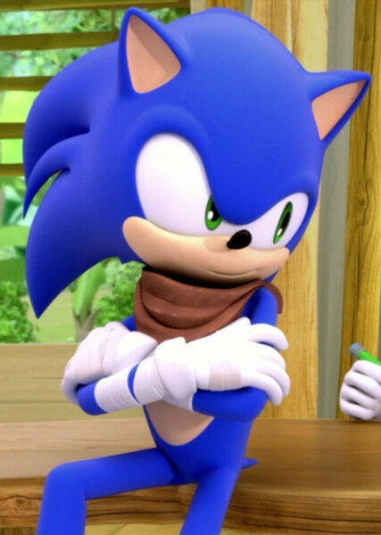Sonic the Hedgehog (Sonic Boom) photo