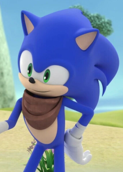 Sonic the Hedgehog (Sonic Boom) photo
