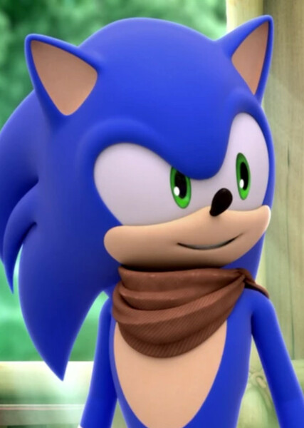Sonic the Hedgehog (Sonic Boom) photo