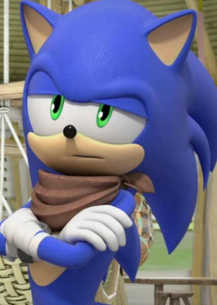 Sonic the Hedgehog (Sonic Boom) photo
