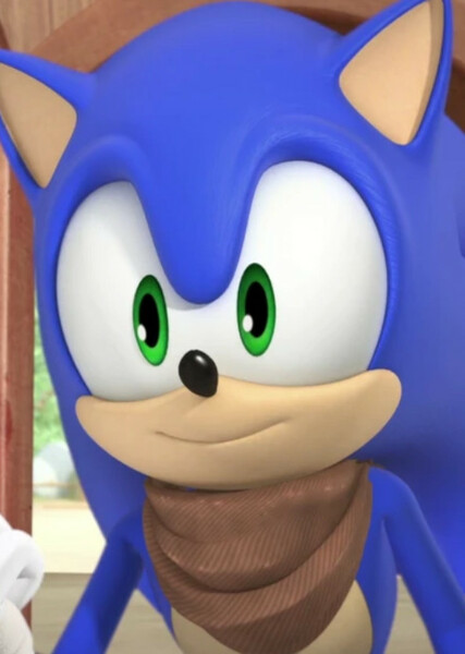 Sonic the Hedgehog (Sonic Boom) photo