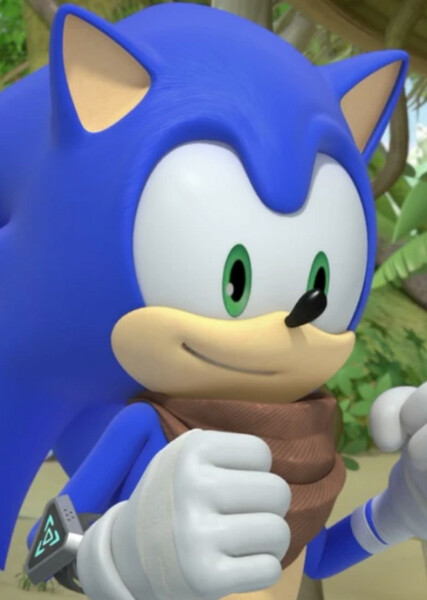 Sonic the Hedgehog (Sonic Boom) photo
