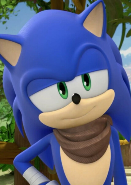 Sonic the Hedgehog (Sonic Boom) photo