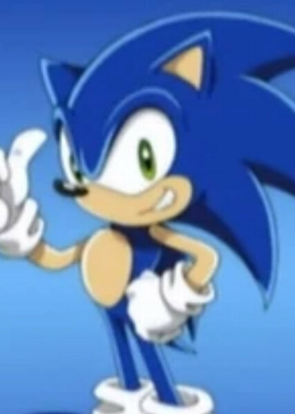 Sonic the Hedgehog (Sonic X) photo