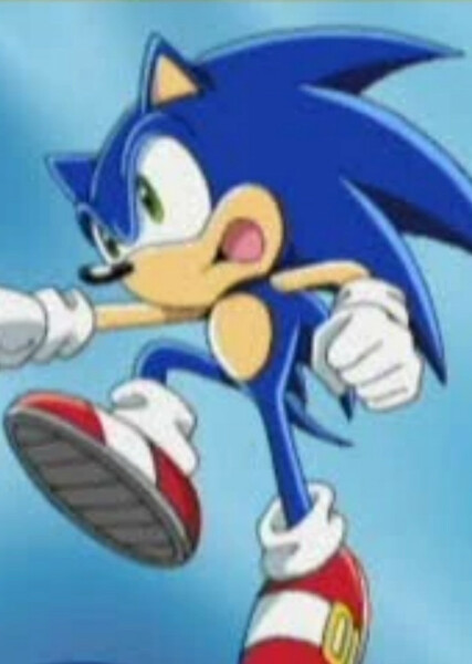 Sonic the Hedgehog (Sonic X) photo