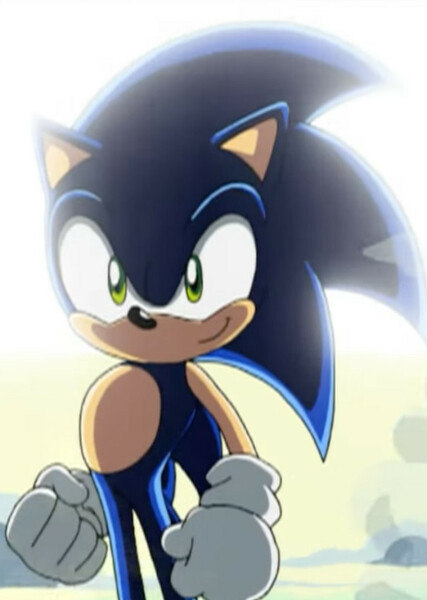 Sonic the Hedgehog (Sonic X) photo