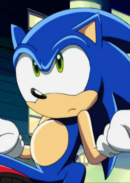 Sonic the Hedgehog (Sonic X) photo