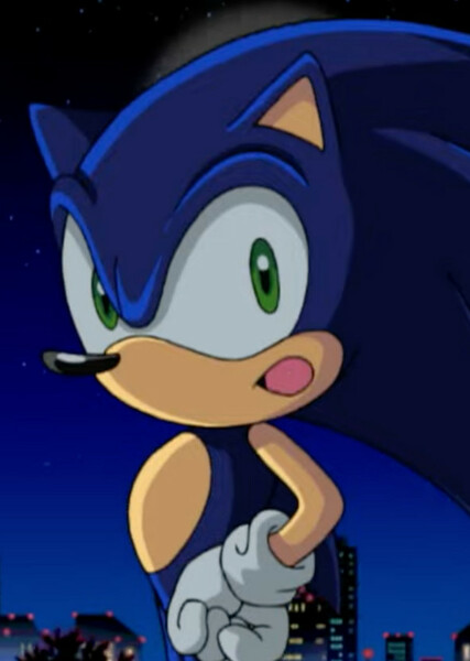 Sonic the Hedgehog (Sonic X) photo
