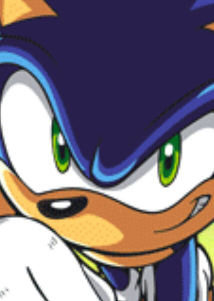 Sonic the Hedgehog (Sonic X) photo
