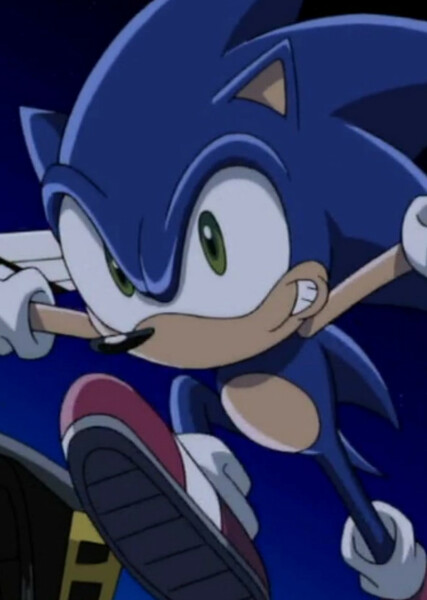Sonic the Hedgehog (Sonic X) photo