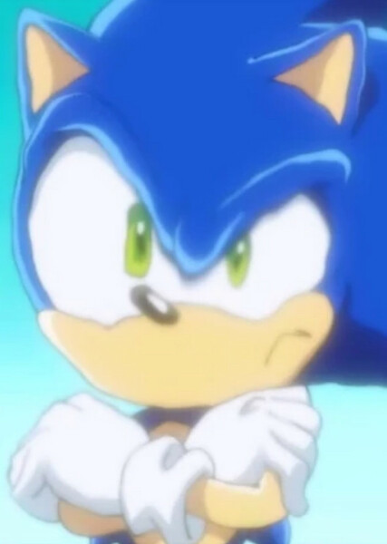 Sonic the Hedgehog (Sonic X) photo