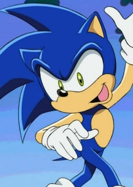 Sonic the Hedgehog (Sonic X) photo