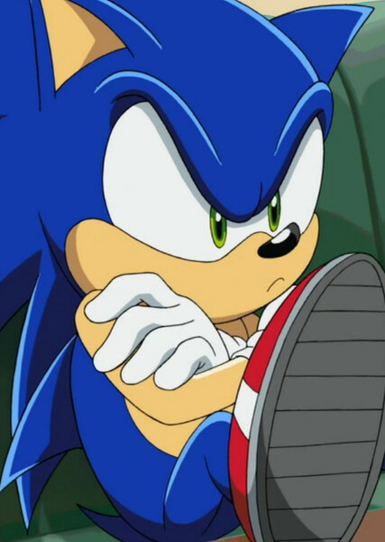 Sonic the Hedgehog (Sonic X) photo