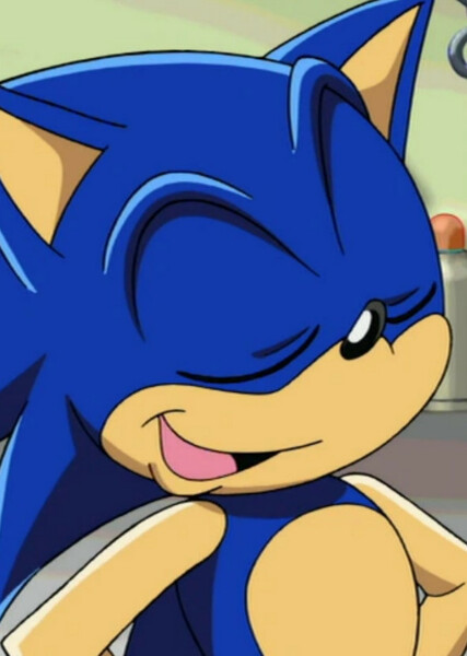 Sonic the Hedgehog (Sonic X) photo