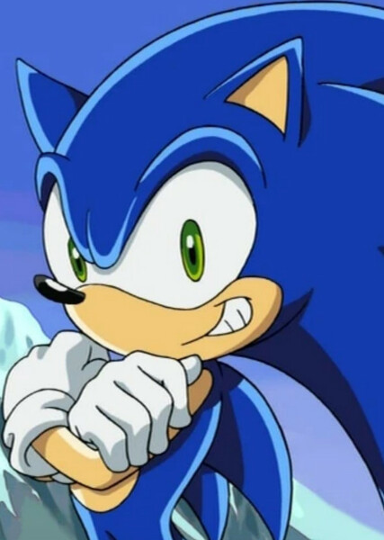 Sonic the Hedgehog (Sonic X) photo