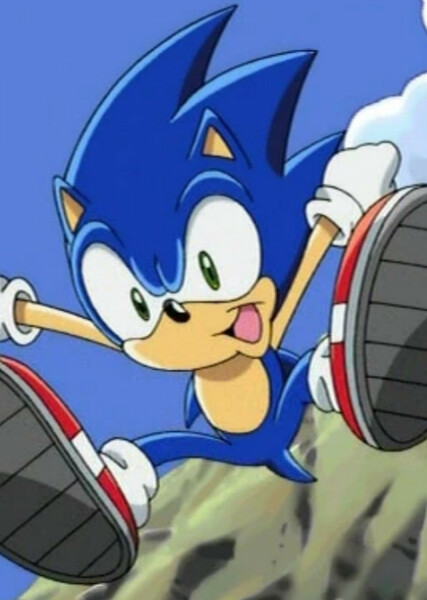 Sonic the Hedgehog (Sonic X) photo
